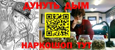 стафф Гатчина