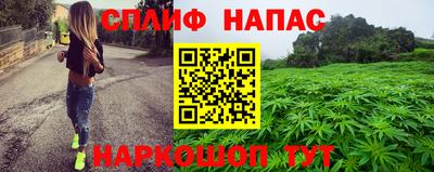 стафф Гатчина