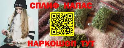 стафф Гатчина