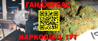 стафф Гатчина
