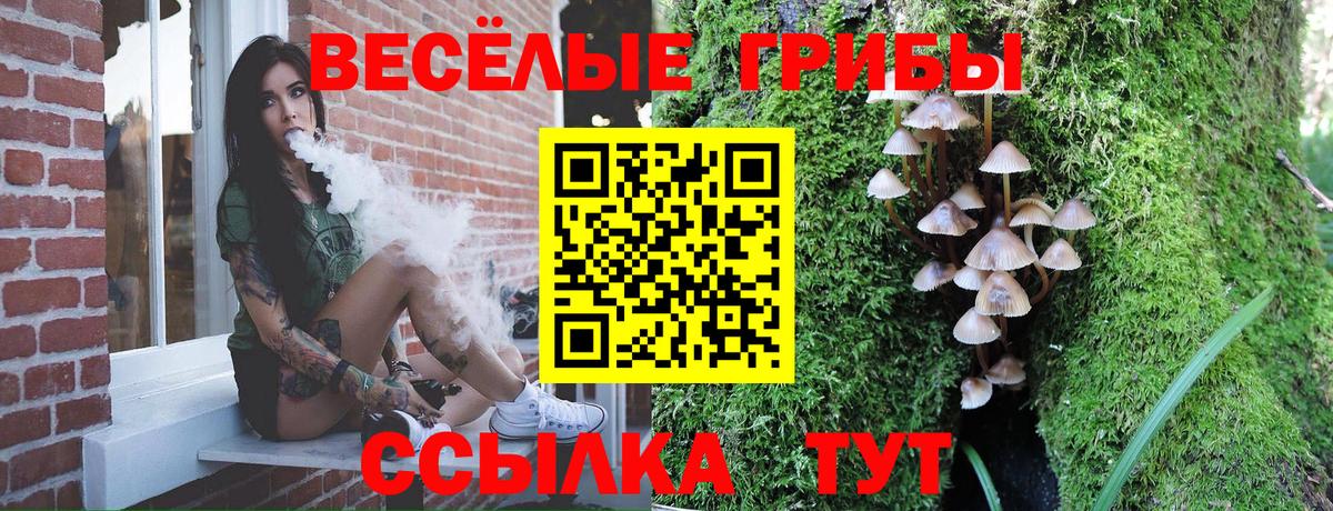Надым  Псилоцибиновые грибы MAGIC MUSHROOMS  Галлюциногенные грибы Cubensis  Вход с VPN 